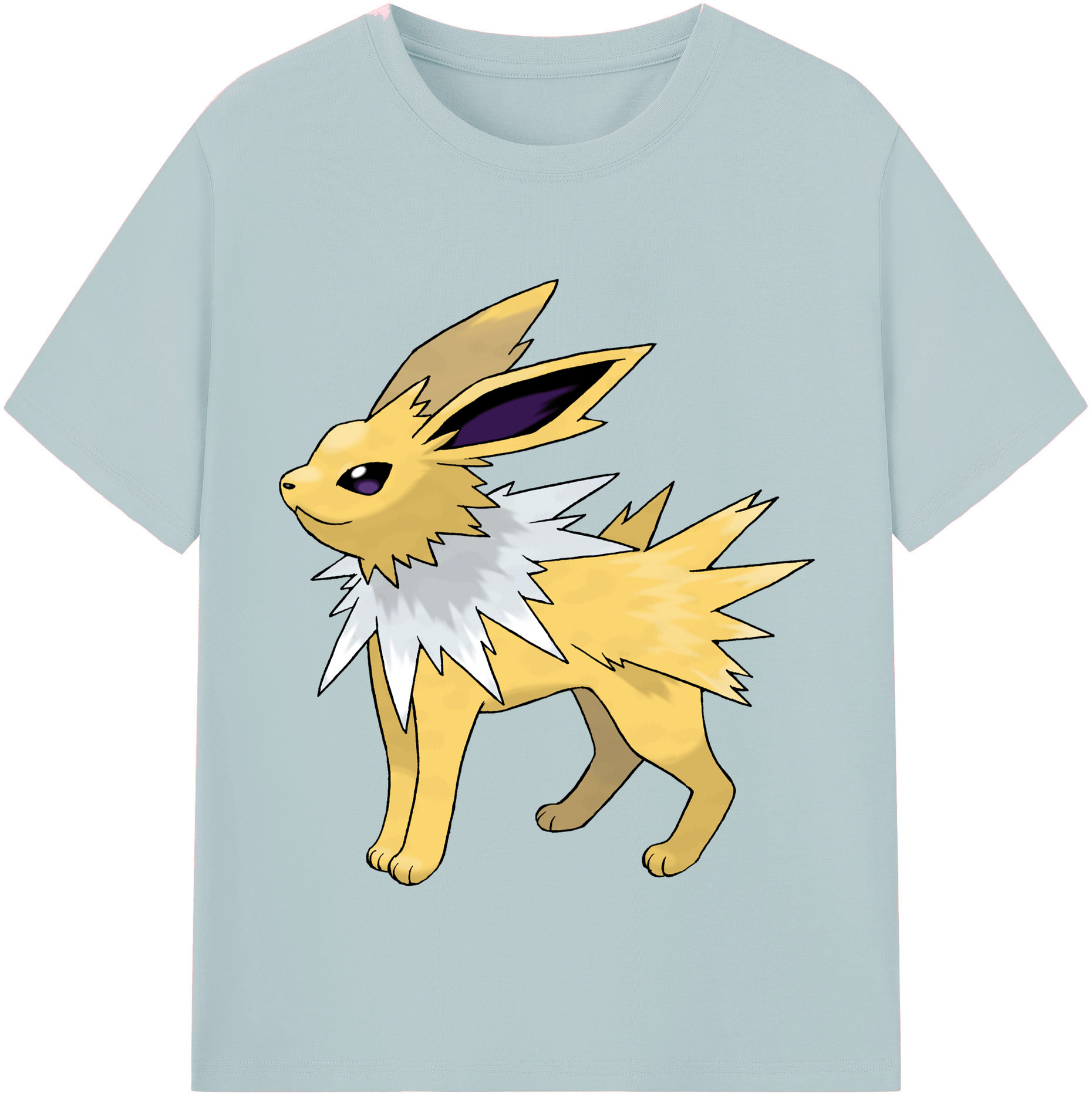 （画像用） ポケットモンスター Pokémon 綿100％半袖Tシャツ（フロントプリント）